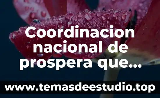 Símbolo de carro que es una W con puntas 4 Coordinacion nacional de prospera que es