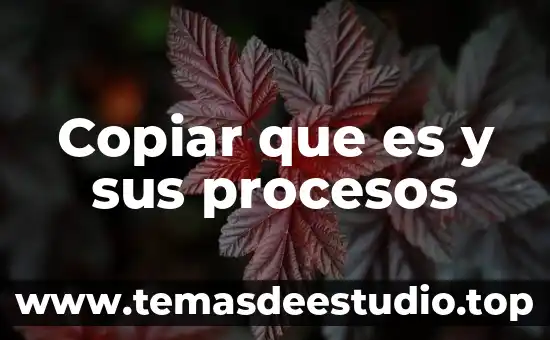 Que es un levantamiento de procesos 7 Copiar que es y sus procesos