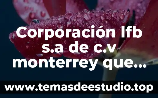Corporación lfb s.a de c.v monterrey que es