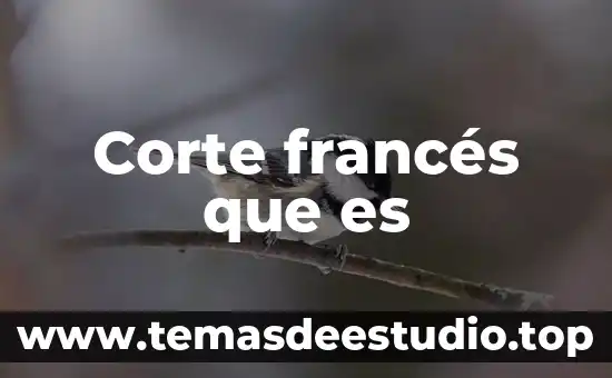 Que es mejor el idioma ingles o frances 4 Corte francés que es