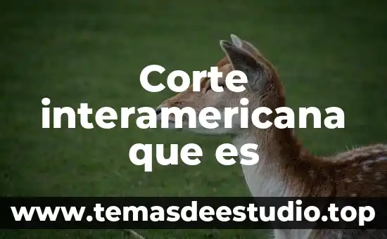 Corte interamericana que es