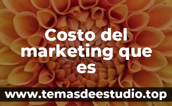Costo del marketing que es