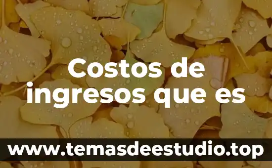 Costos de ingresos que es