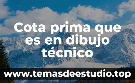 Que es el registro de los usuario en la red 5 Cota prima que es en dibujo técnico