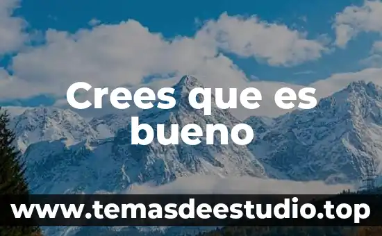 Para que es bueno la planta moringa 6 Crees que es bueno