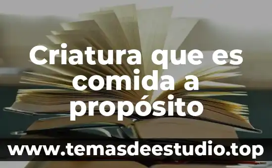 Que es comida inorganica 6 Criatura que es comida a propósito