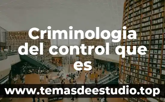 Que es el garabateo sin control 4 Criminologia del control que es