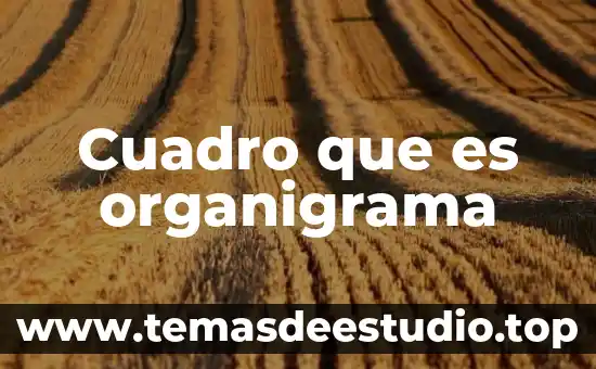 Que es un cuadro comparativo griego 6 Cuadro que es organigrama