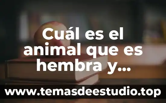 Animal que es macho y hembra 5 Cuál es el animal que es hembra y macho