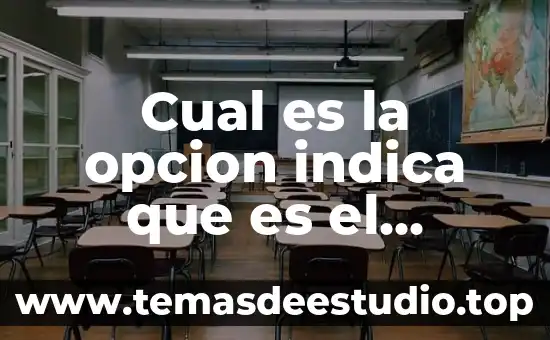 Que es el guardabarros cual es su nombre en mexico 4 Cual es la opcion indica que es el socialismo