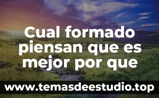 Que es el guardabarros cual es su nombre en mexico 7 Cual formado piensan que es mejor por que