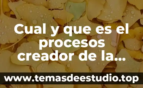 Que es un trebolo en la musica violin 8 Cual y que es el procesos creador de la música