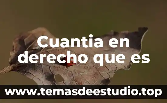 Que es materialismo historico yahoo 5 Cuantia en derecho que es