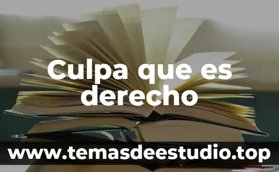 Culpa que es derecho