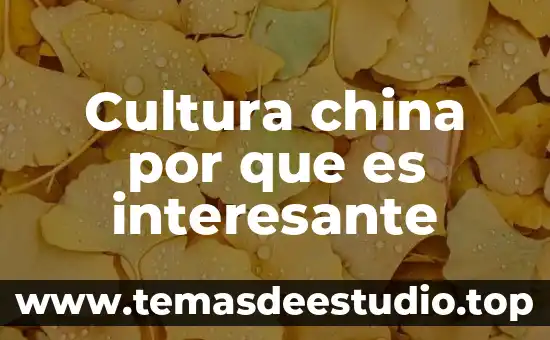 Por qué es interesante conocer de los tepehuanes 5 Cultura china por que es interesante