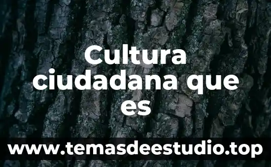 A que es cultura pertenece altotonga 3 Cultura ciudadana que es