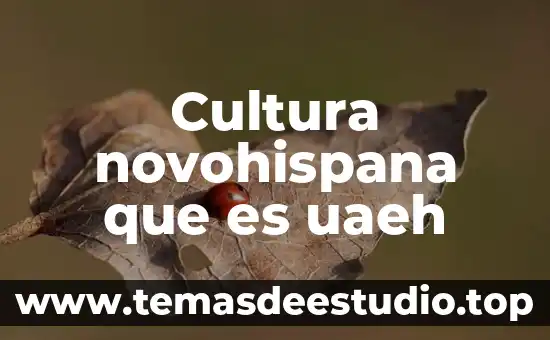 Que es el paid de la cultura olmeca 7 Cultura novohispana que es uaeh