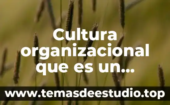 Que es la cultura chichimeca alimentos 8 Cultura organizacional que es un humano