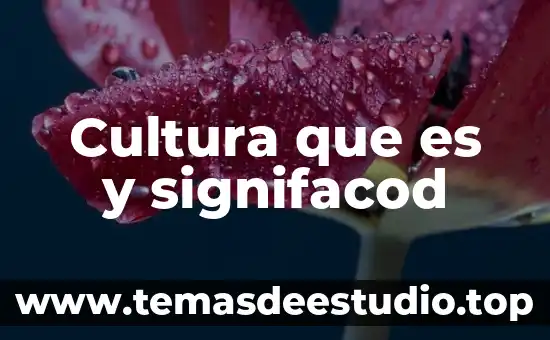 Que es la cultura como ambiente 8 Cultura que es y signifacod