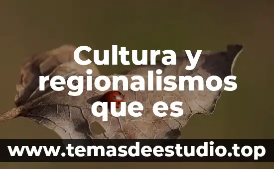 Cultura y regionalismos que es