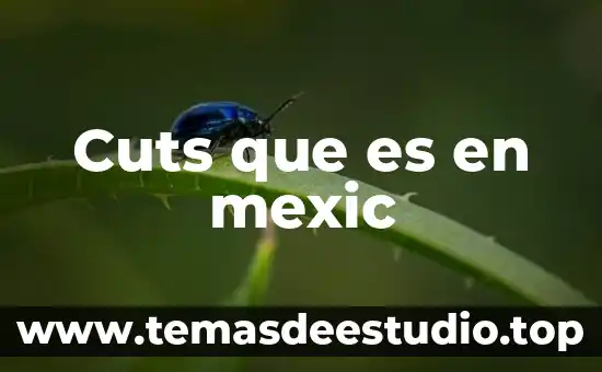 Que es inmortalidad en filosofía 7 Cuts que es en mexic