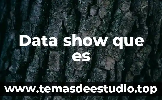 Data show que es