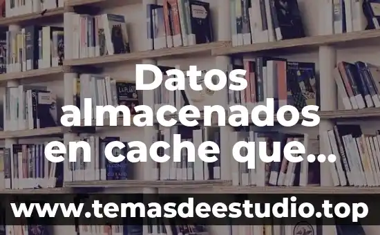 Datos almacenados en cache que es