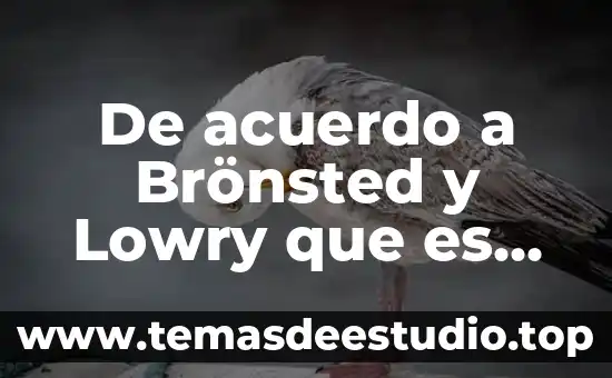 Qué es un ácido fosfolípido 5 De acuerdo a Brönsted y Lowry que es un ácido