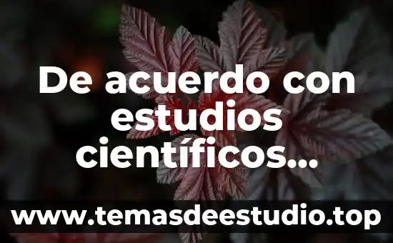 Que es la razon de cambio de la derivada 5 De acuerdo con estudios científicos, ¿qué es la derivada?