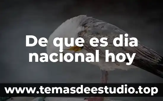 Que es ser docente hoy en dia 6 De que es dia nacional hoy