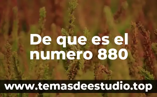 Qué es el número patronal del trabajo 4 De que es el numero 880