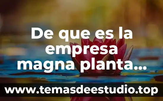 Qué es comunicación según Luis Ramiro Beltrán 8 De que es la empresa magna planta san luis
