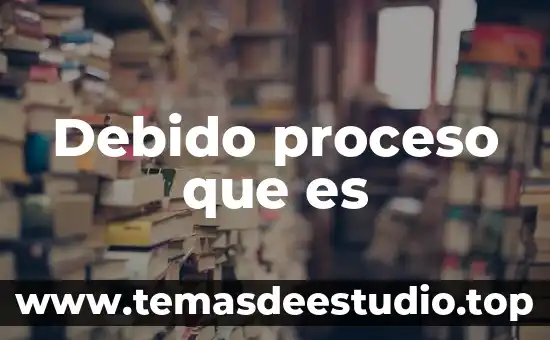 Qué es arte artefacto nico 4 Debido proceso que es