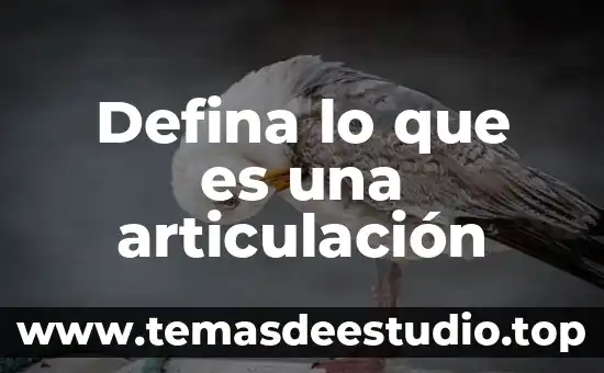 Que es y para que sirve una flor preescolar 8 Defina lo que es una articulación