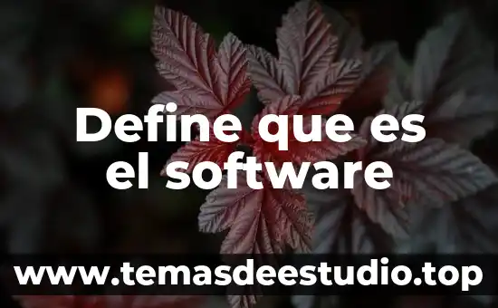 Define que es el software