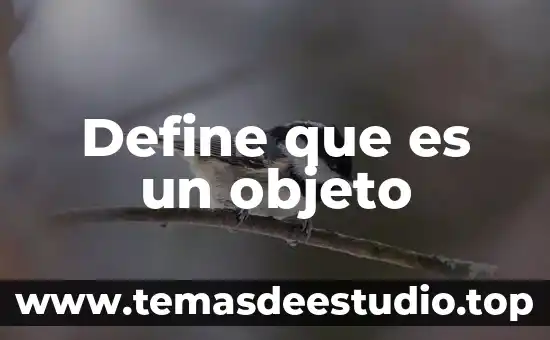 Define que es un objeto