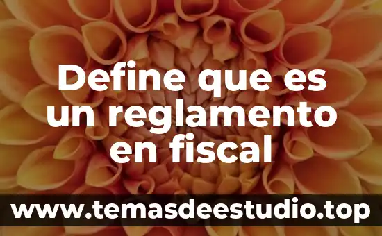 Define que es un reglamento en fiscal