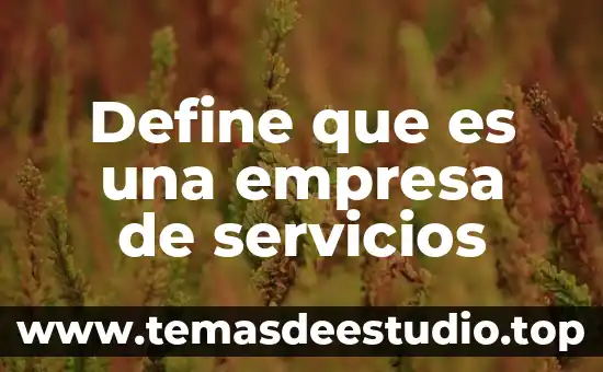 Que es ser autentico en empresa 6 Define que es una empresa de servicios