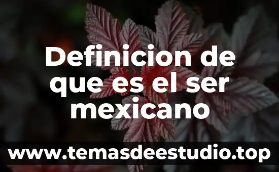 Definicion de que es el ser mexicano