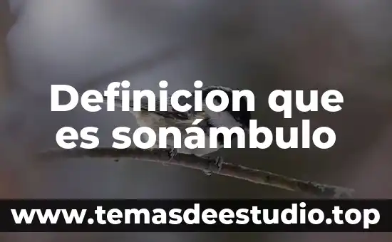 Qué es exegética definición 3 Definicion que es sonámbulo