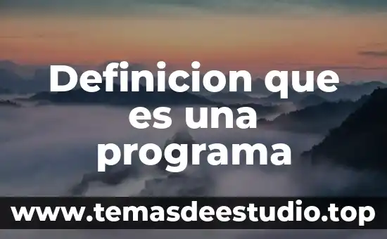 Definicion que es una programa