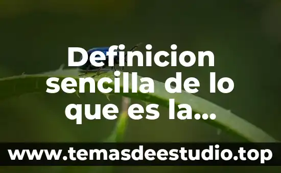 Que es la terapia cognitivo conductual de forma sencilla 6 Definicion sencilla de lo que es la eucaristia