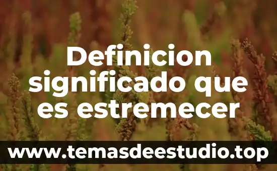 Que es pelliza definicion 8 Definicion significado que es estremecer