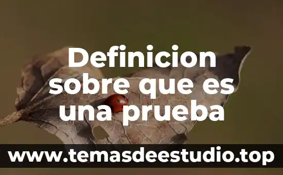 Que es velocidad definición para niños 5 Definicion sobre que es una prueba