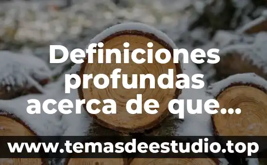 Definiciones profundas acerca de que es el arte