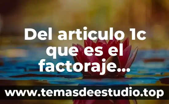 Que es el monto en termino financiero 7 Del articulo 1c que es el factoraje financiero