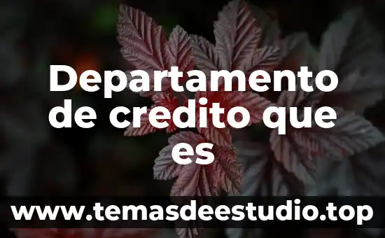 Qué es el número de crédito en automóvil buró 8 Departamento de credito que es