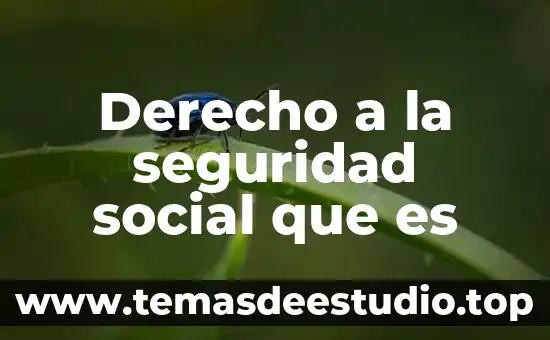 Que es vertido en derecho 6 Derecho a la seguridad social que es