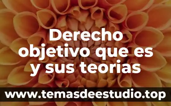 Derecho objetivo que es y sus teorias