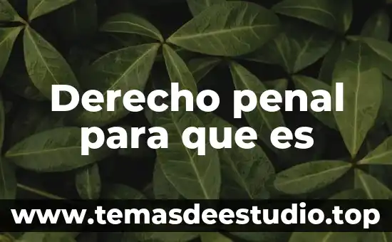 Derecho penal para que es